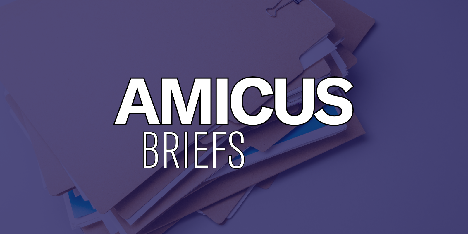 White text over a photo of a pile of files. The text says, "amicus briefs."