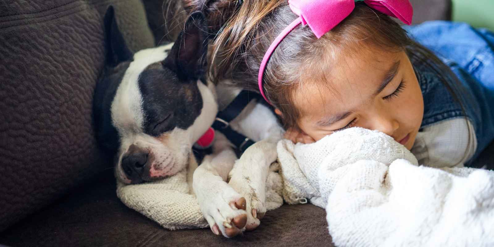 Photo of a child wearing a pink bow asleep on a brown couch next to a small, black and white dog.