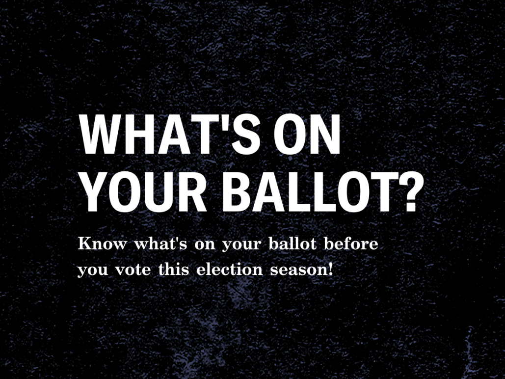 What's On Your Ballot? | ACLU Of Minnesota