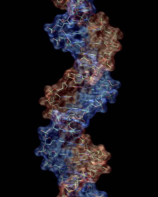 DNA Image