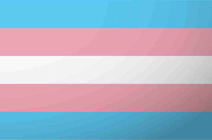 Transgender Flag