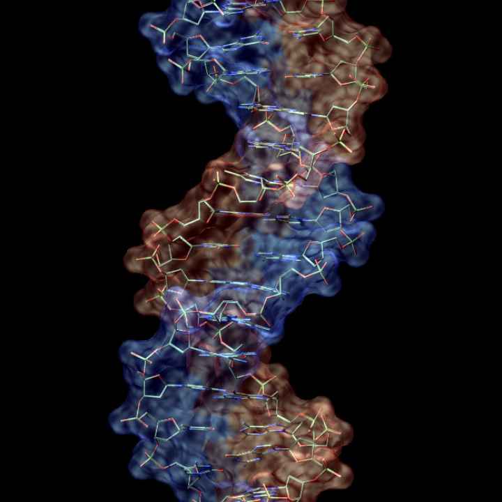 DNA Image