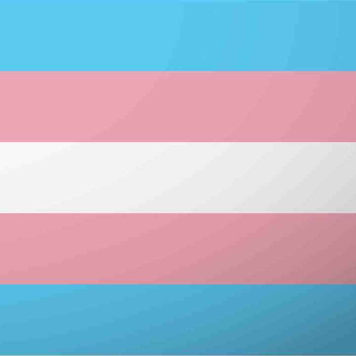 Transgender Flag